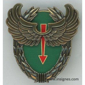 13° Régiment de Dragons Parachutistes RDP Brevet Equipier de Recherche Aéroportée