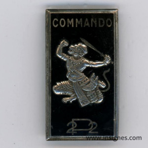 Commando 22