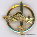 Insigne de Béret Commandos de l'Air Drago noisiel