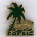 FOFSIC Forces Amphibies de Débarquement en Indochine Drago Paris